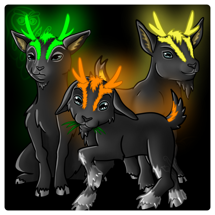 Avatar-37